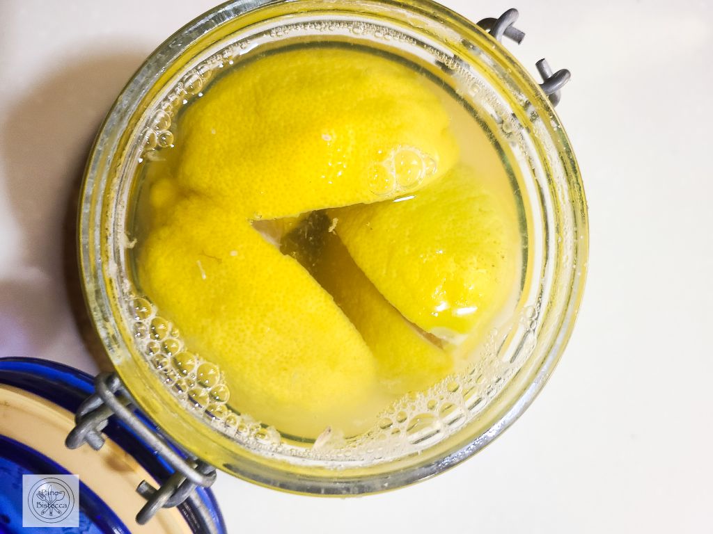 Zitronen im Salz