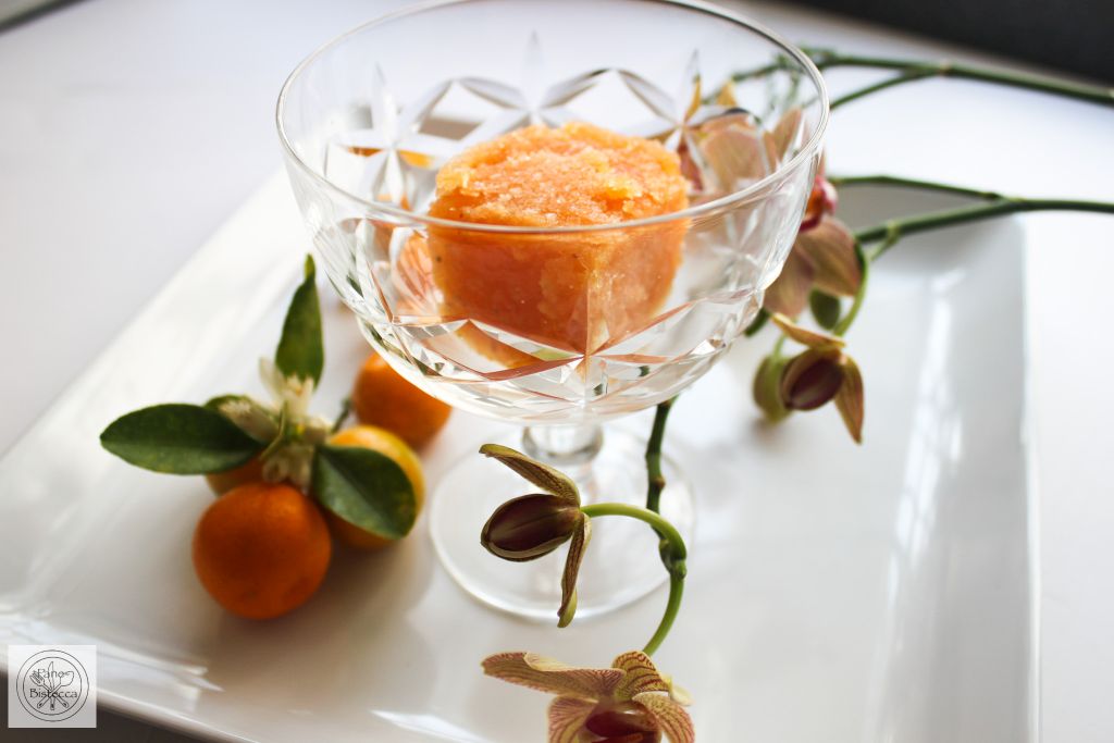 Kumquat Sorbet - Die Eiszeit beginnt!