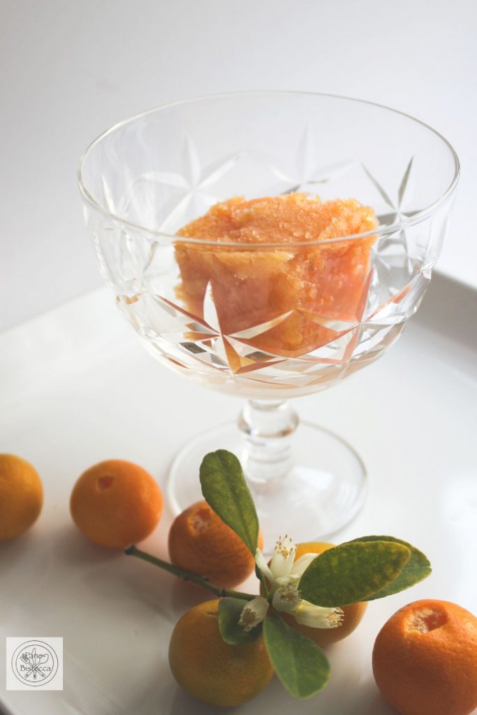 Kumquat Sorbet - Die Eiszeit beginnt!