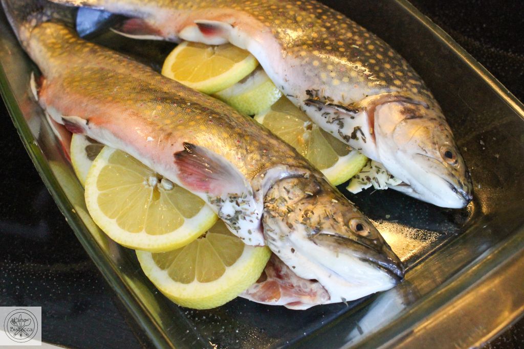 Saibling mit Lauch und Karotten