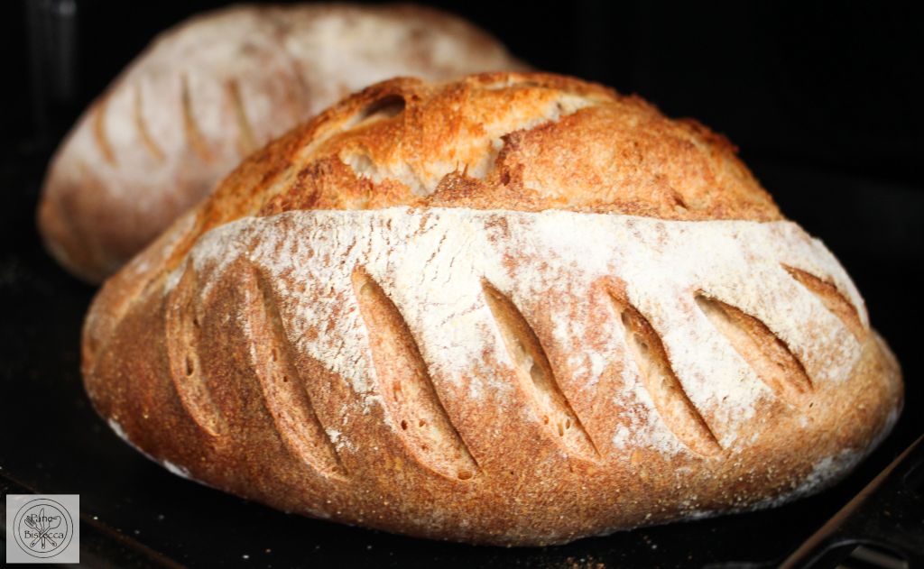 Bauernbrot am WBD2026